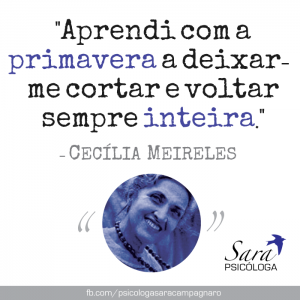 Frase de Cecília Meireles